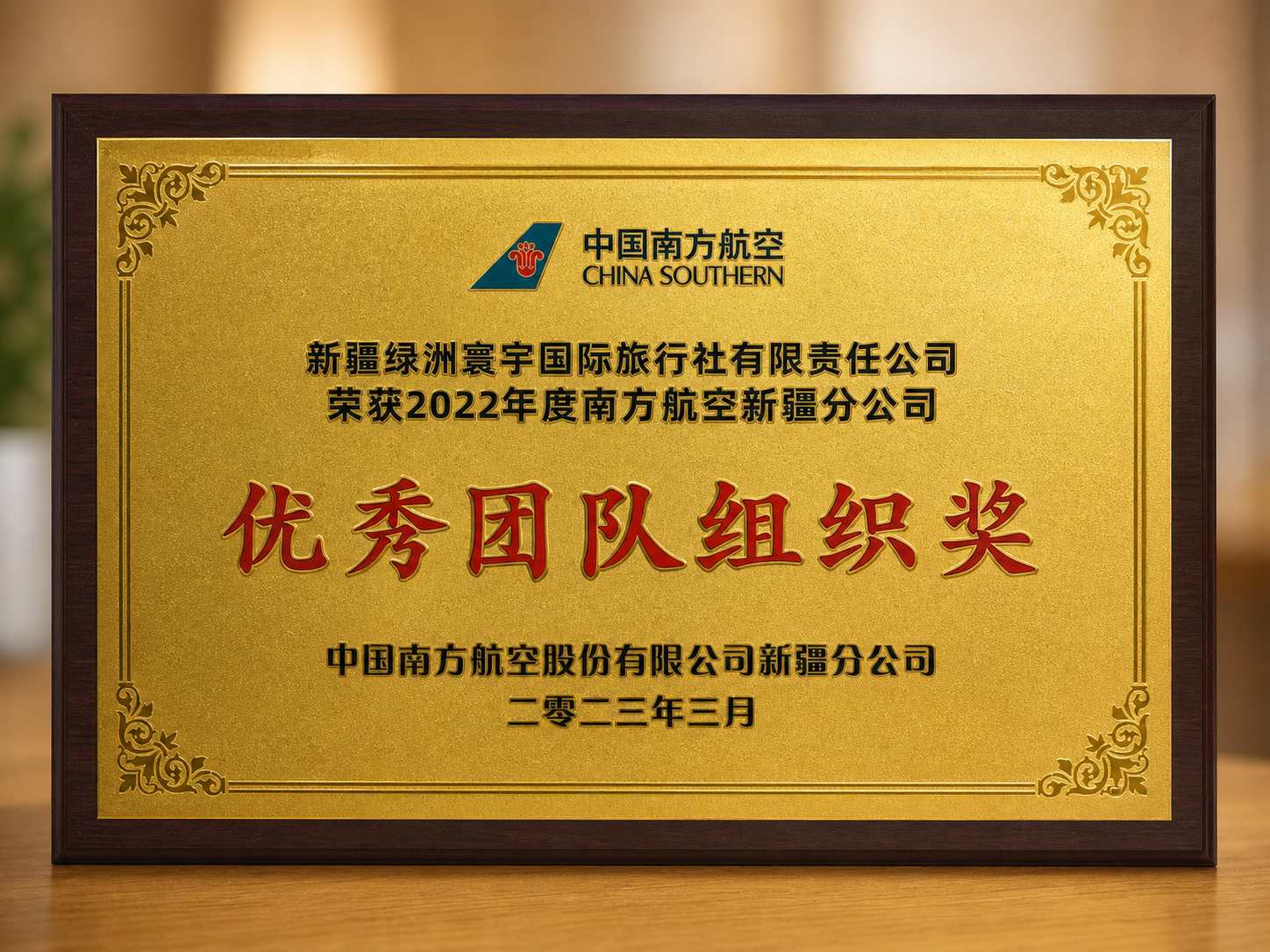 绿洲寰宇南航优秀团队组织奖牌匾