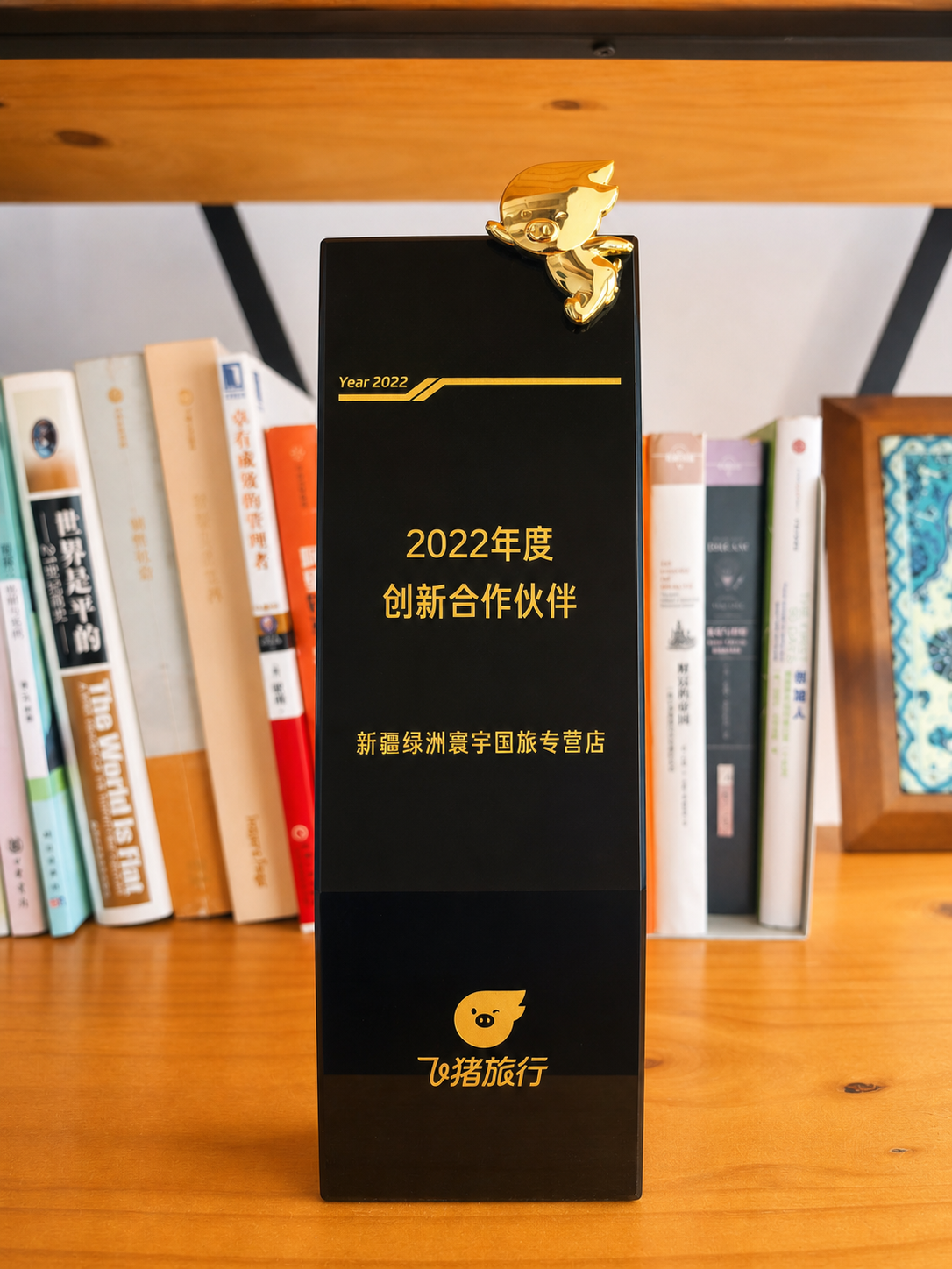 绿洲寰宇奖杯照片