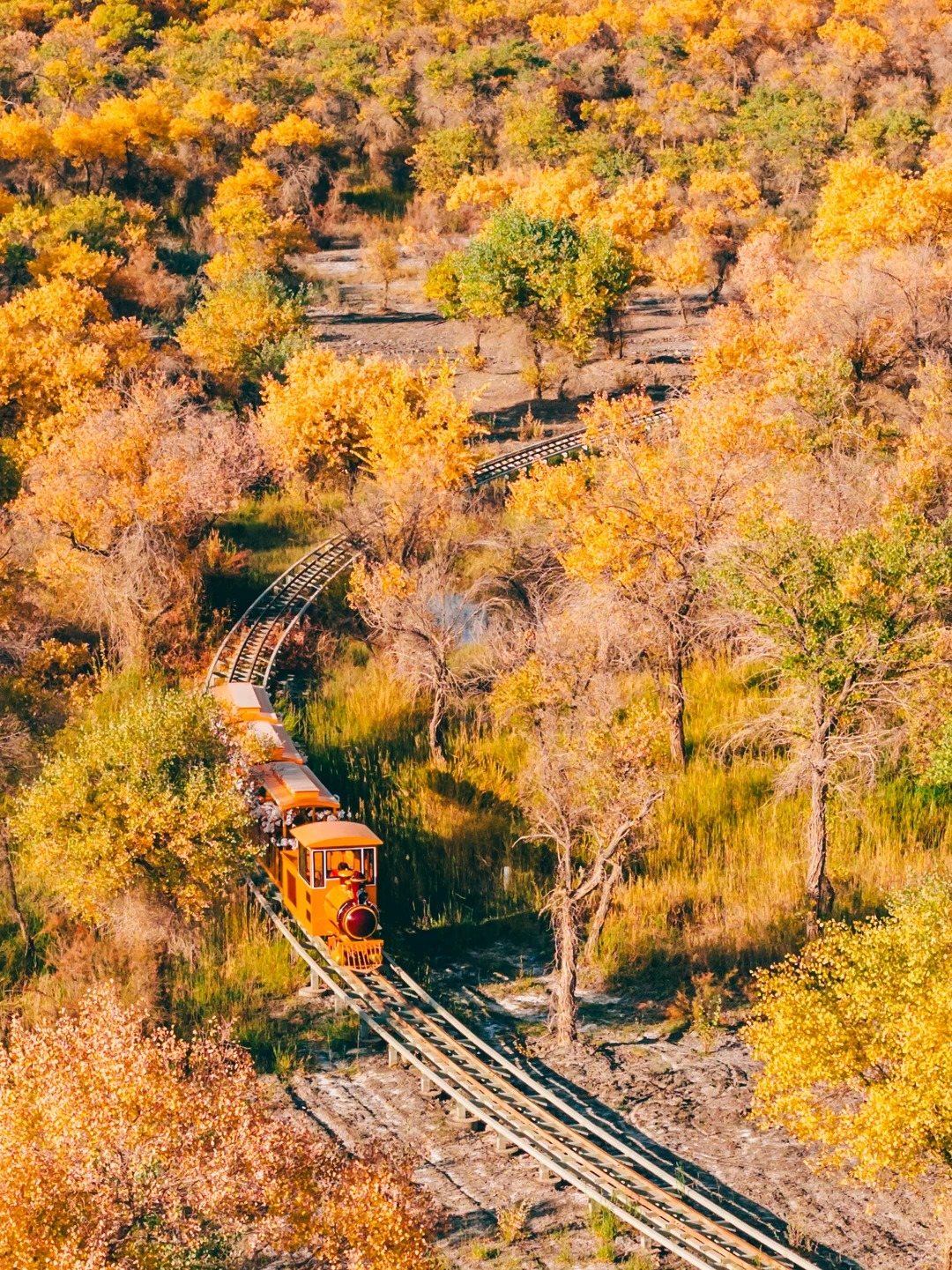 金湖杨金锁桥风景