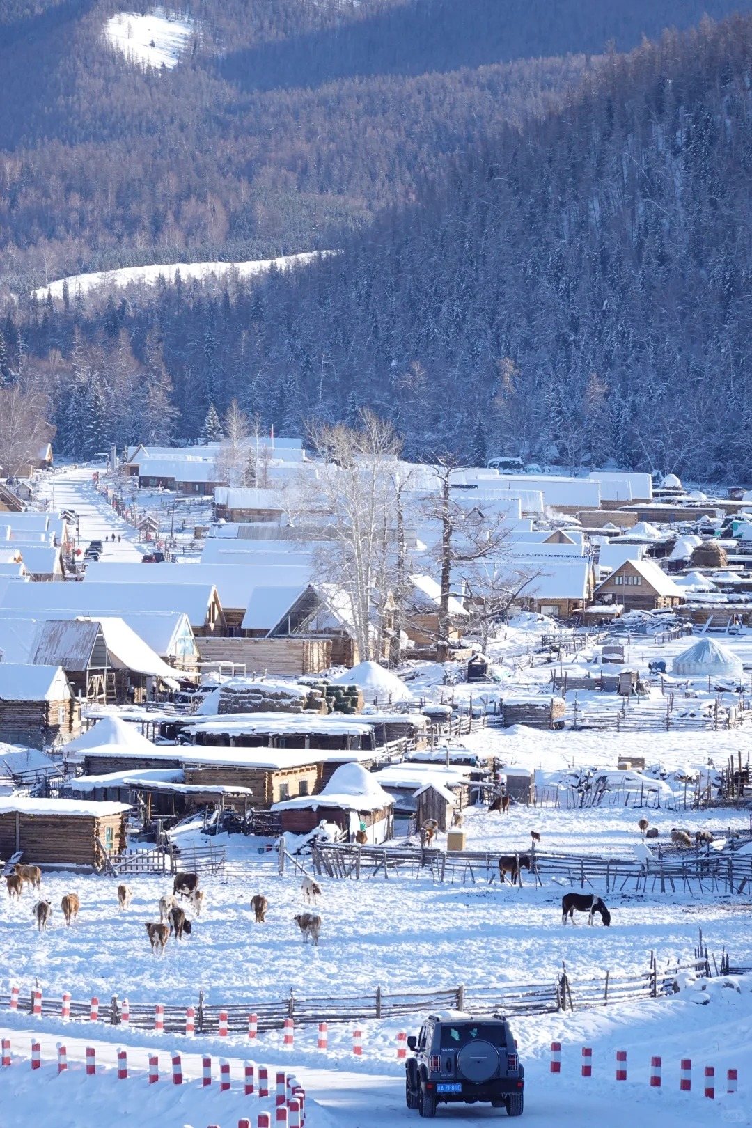 白哈巴村风景