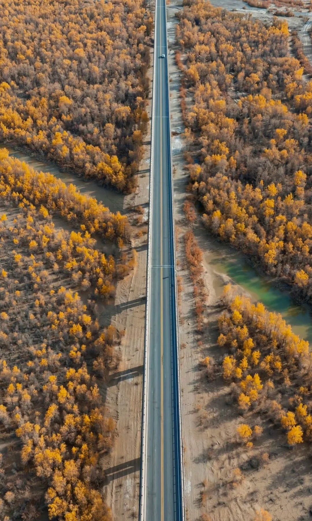 罗布人村寨景区资料图