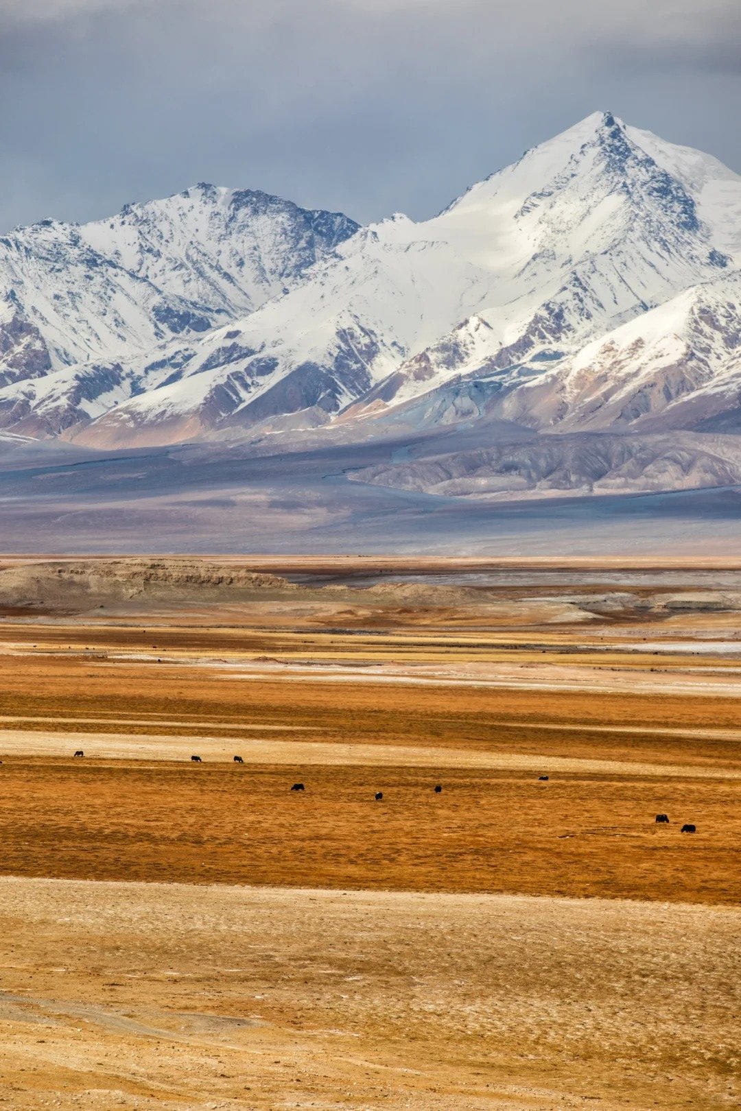 帕米尔旅游区喀拉库勒湖风景