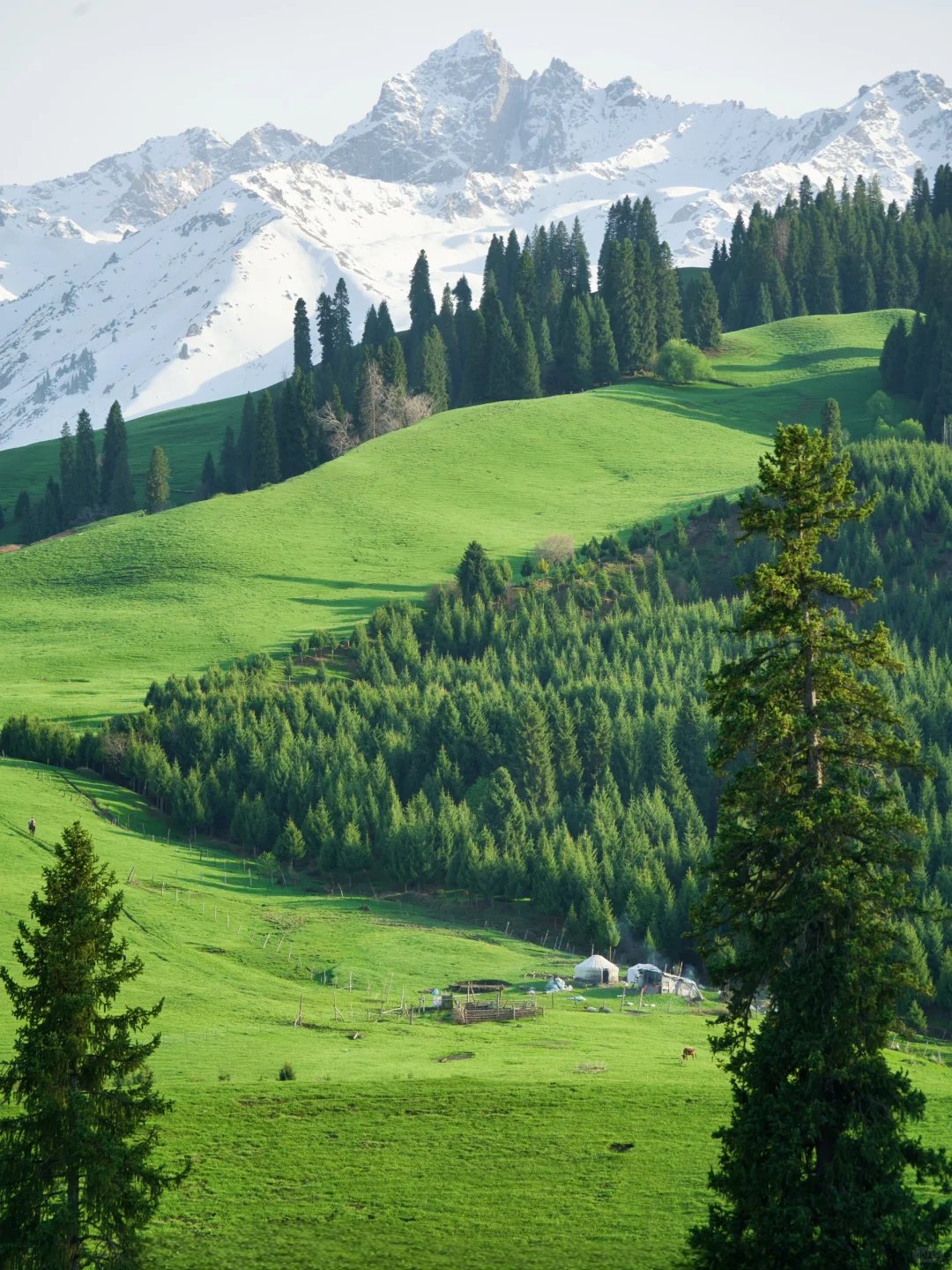 恰西草原坡地风景